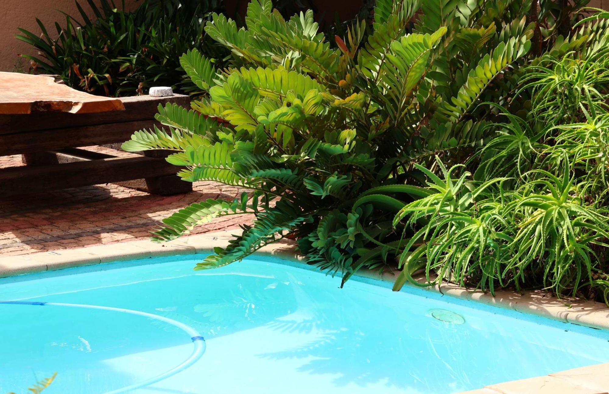 The Leopard Tree Bed & Breakfast Polokwane Exterior photo